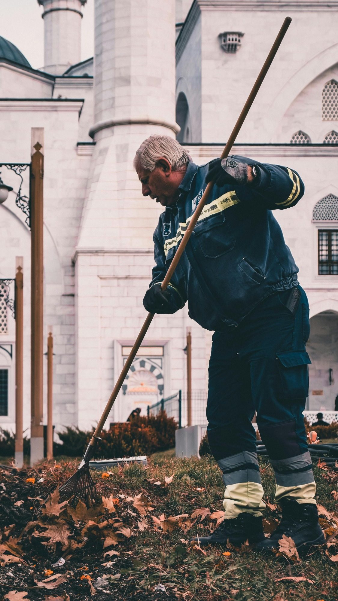 CLEANNEX - Servicio Profesional de Limpieza y jardinería en Reynosa Preservación y gestión de áreas verdes urbanas: claves para un futuro sostenible, biodiversidad y bienestar humano.